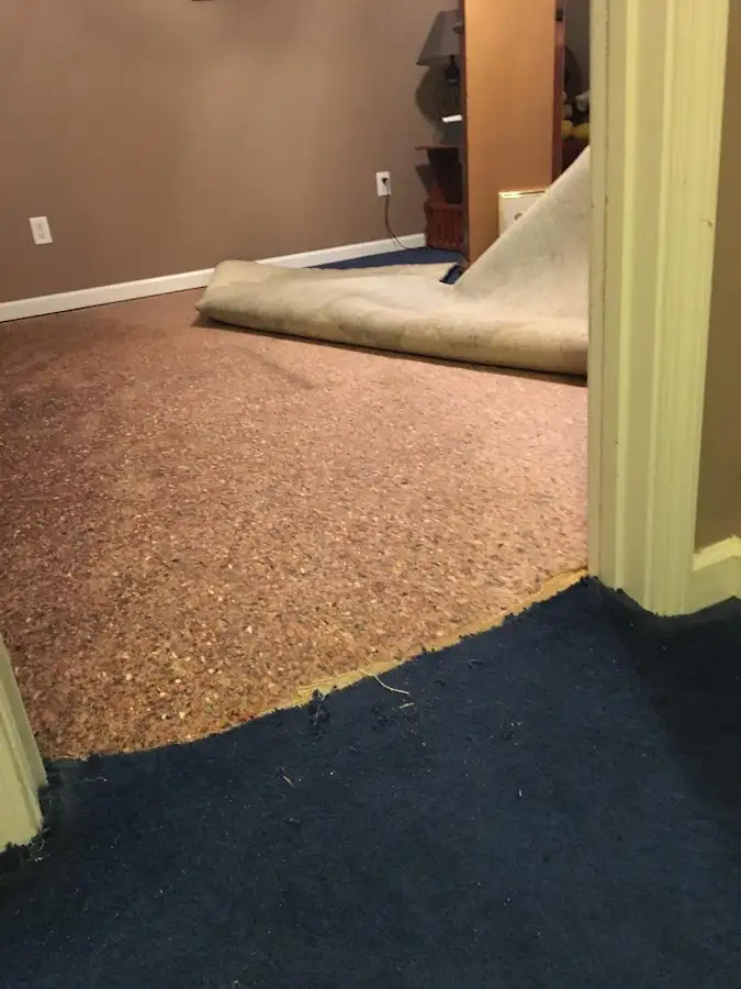 Carpet pad removal revealing water damage during Drying & Dehumidification in Bucyrus